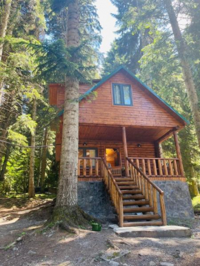 Rest House